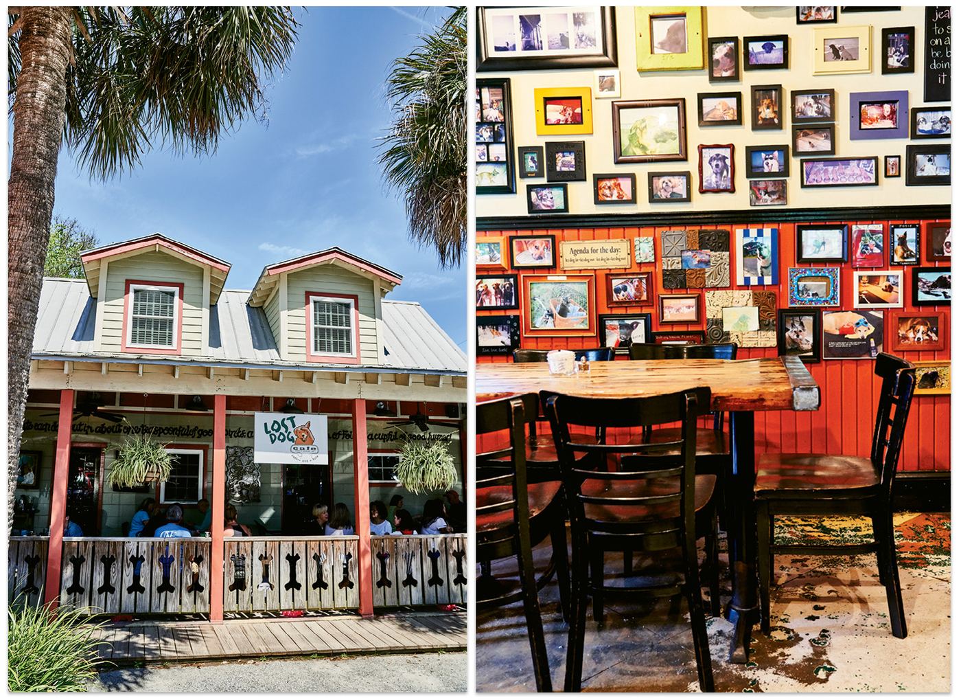 Lost Dog Cafe